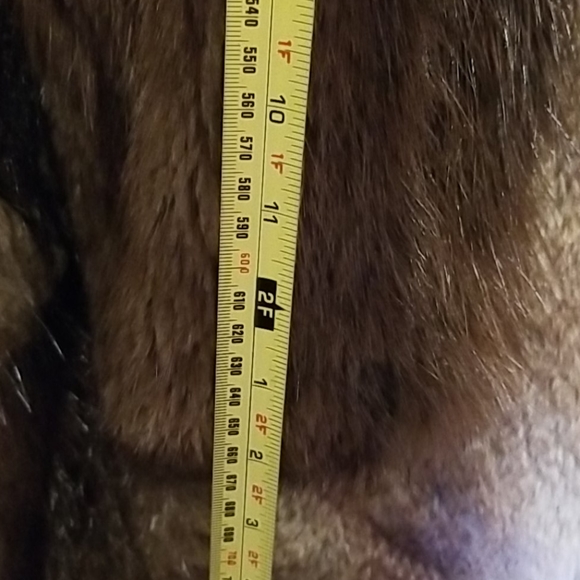 Mink Coat - Picture 3 of 5